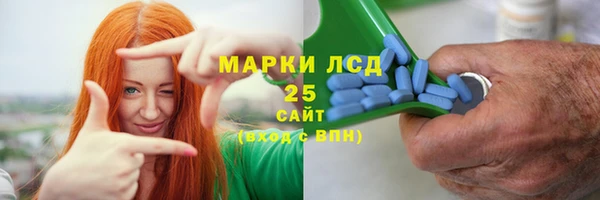 ГАЛЛЮЦИНОГЕННЫЕ ГРИБЫ Бугульма