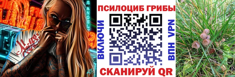 Галлюциногенные грибы Magic Shrooms  Петушки 